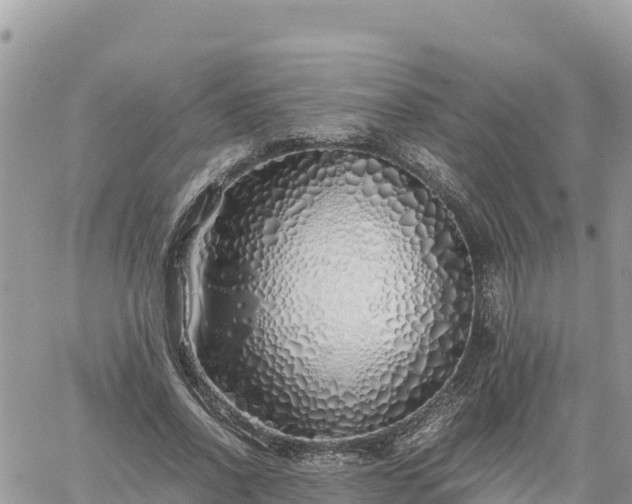 X0000060750734200511171122