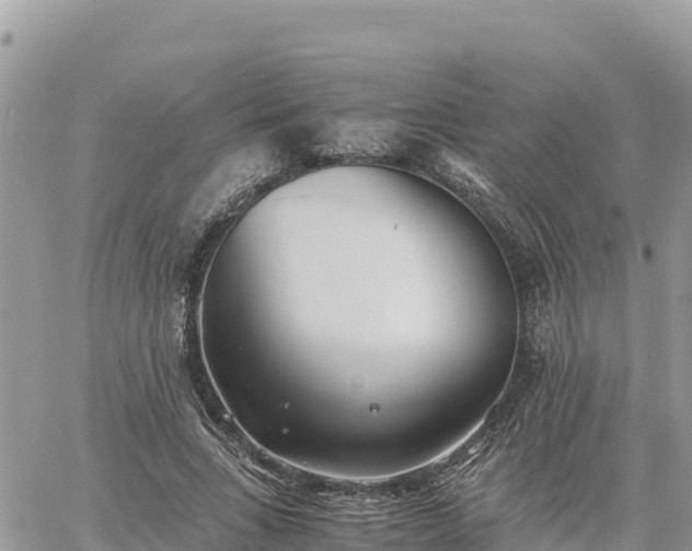 X0000060750735200511171122