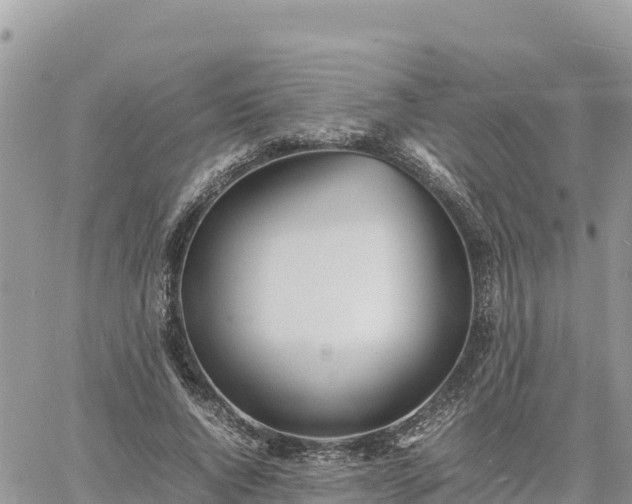 X0000060750736200511171122