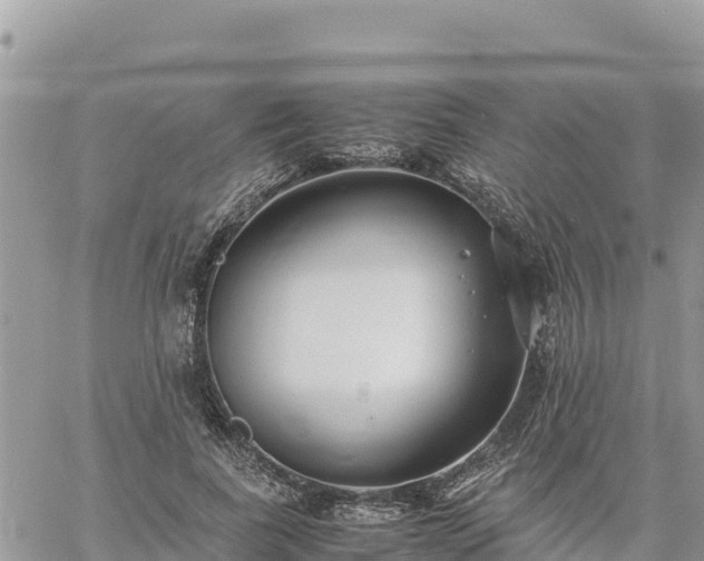 X0000060750739200511171122