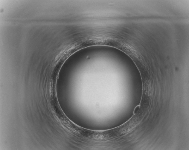 X0000060750740200511171122