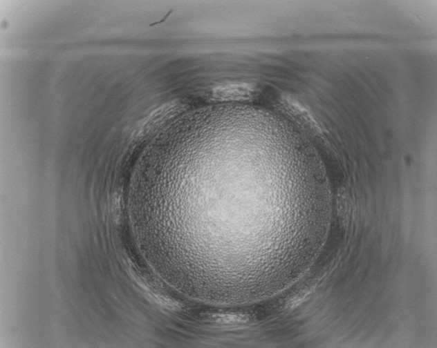 X0000060750741200511171122