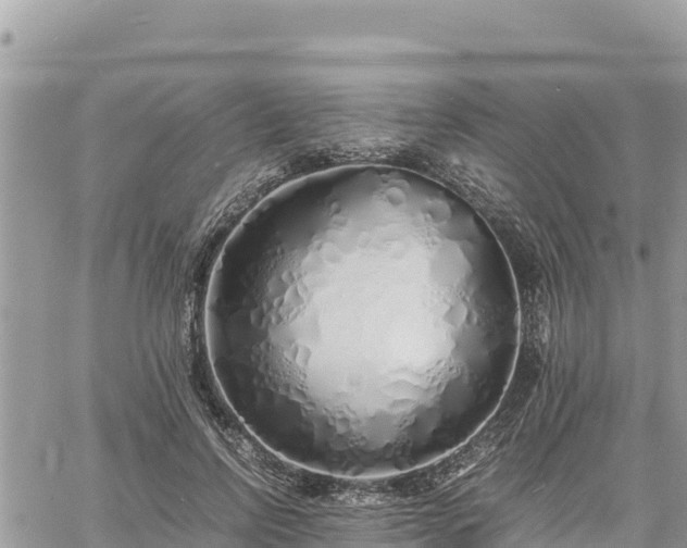 X0000060750742200511171122