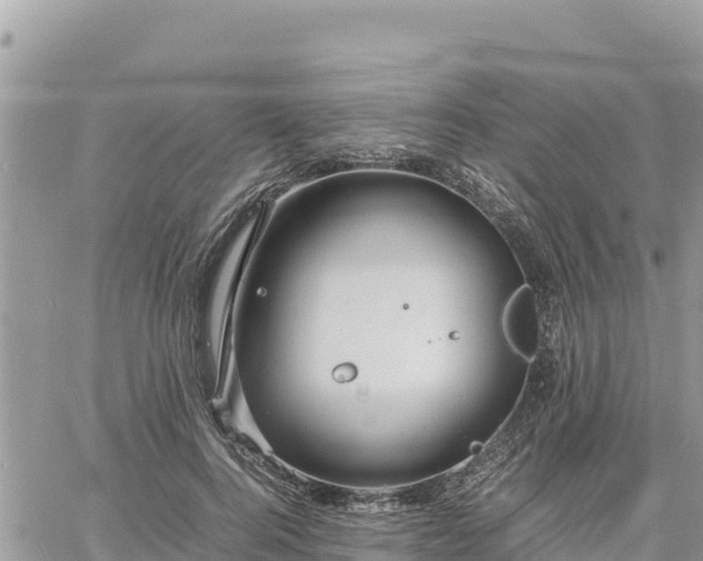 X0000060750744200511171122