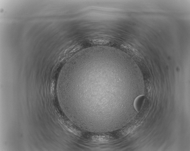 X0000060750745200511171122