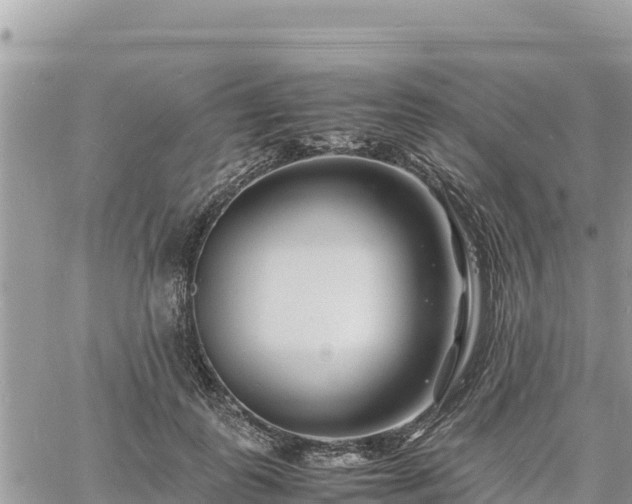 X0000060750747200511171122