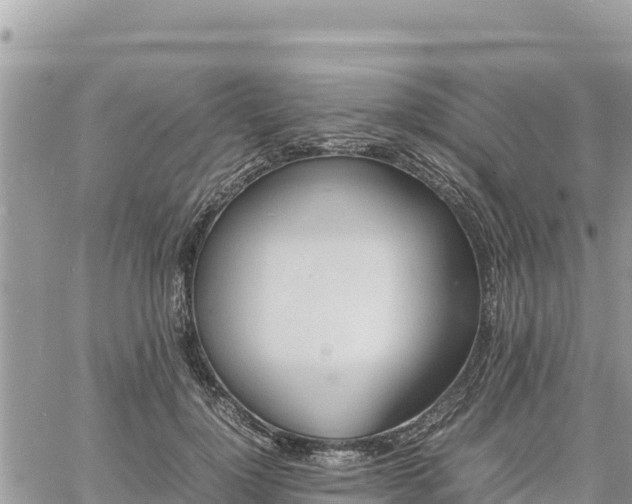 X0000060750748200511171122