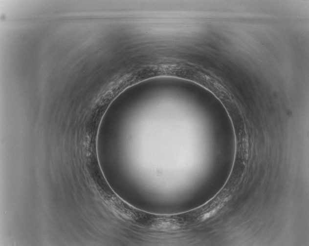 X0000060750750200511171122