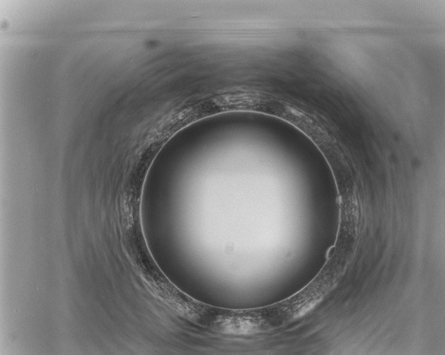 X0000060750751200511171122