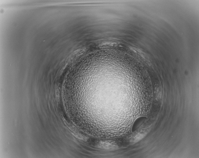 X0000060750753200511171122