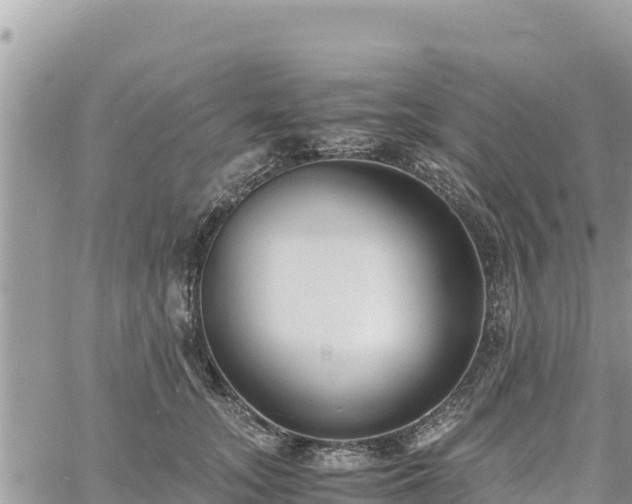 X0000060750755200511171122