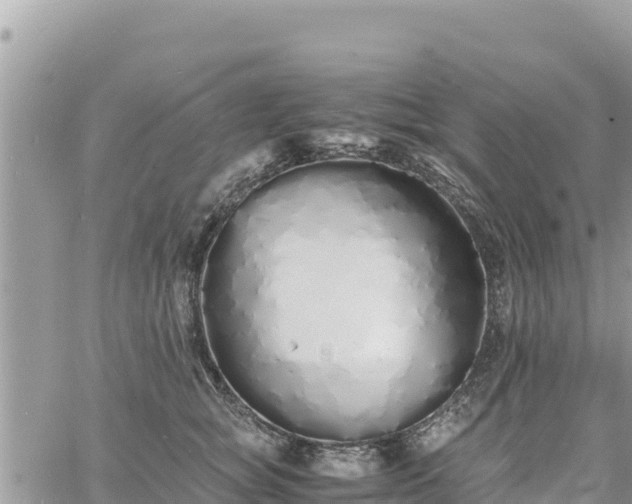 X0000060750757200511171122