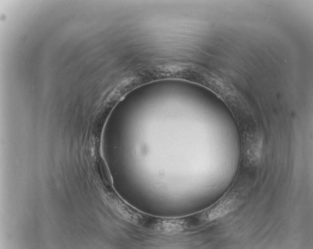 X0000060750758200511171122