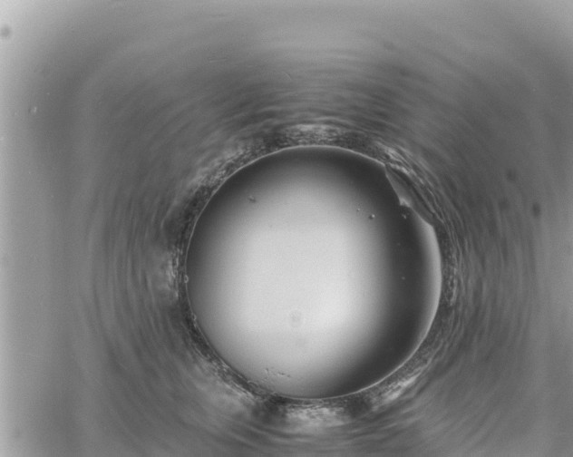 X0000060750759200511171122