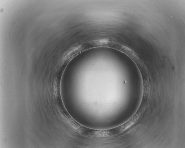 X0000060750762200511171122