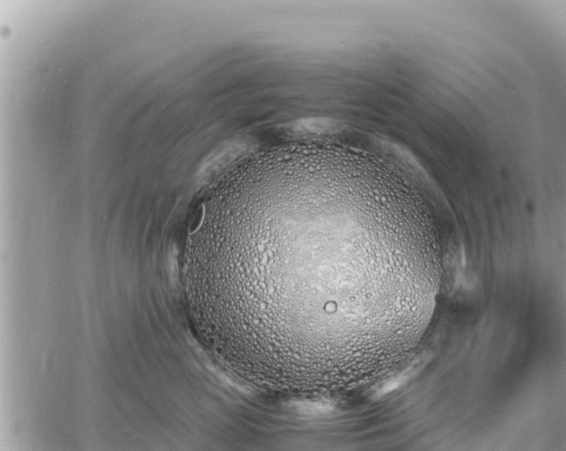 X0000060750765200511171122