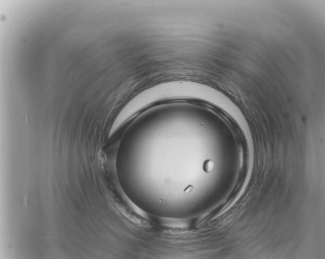 X0000060750766200511171122