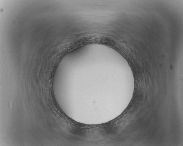 X0000060750769200511171122