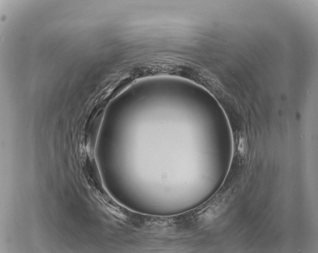 X0000060750771200511171121