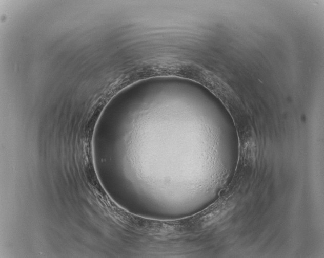 X0000060750772200511171121