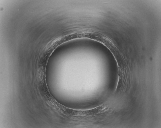 X0000060750773200511171121