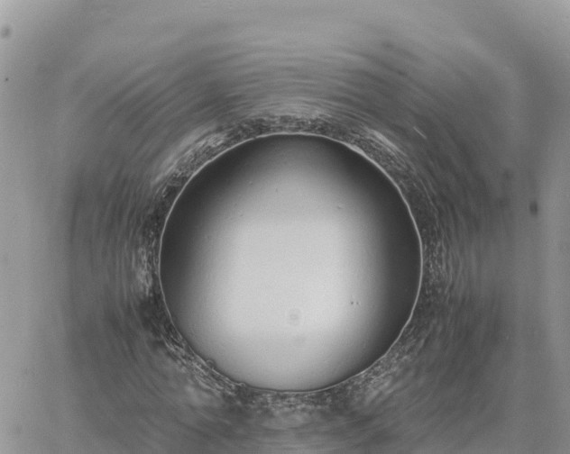 X0000060750774200511171121