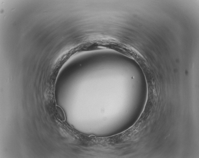 X0000060750775200511171121