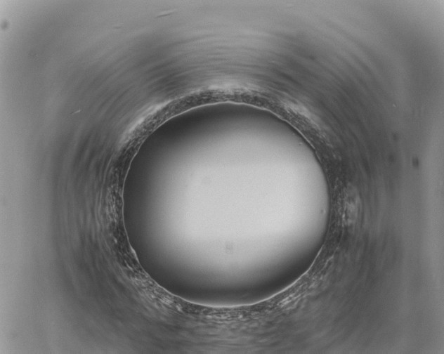 X0000060750776200511171121