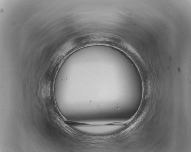 X0000060750777200511171121