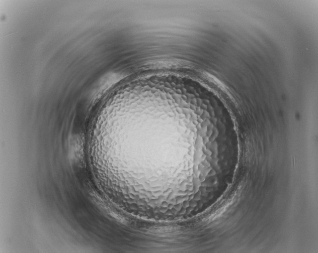 X0000060750778200511171121