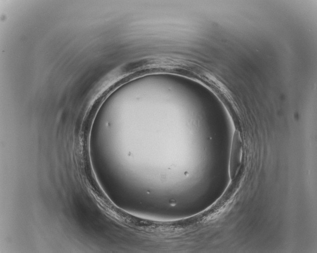 X0000060750779200511171121