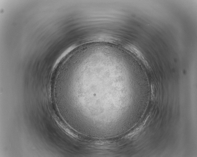 X0000060750780200511171121