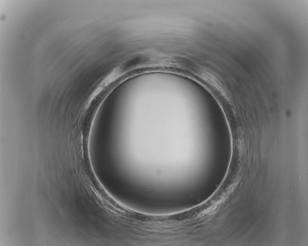 X0000060750781200511171121