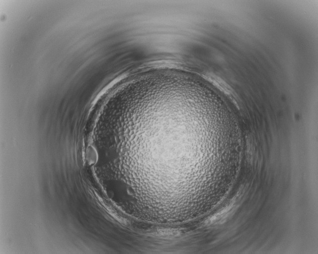 X0000060750782200511171121