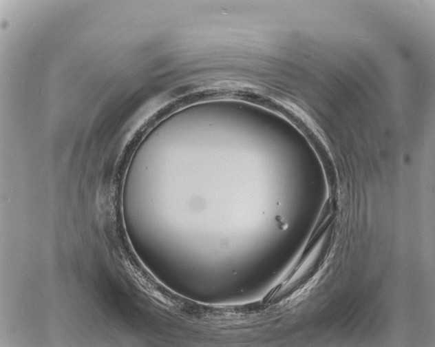 X0000060750783200511171121