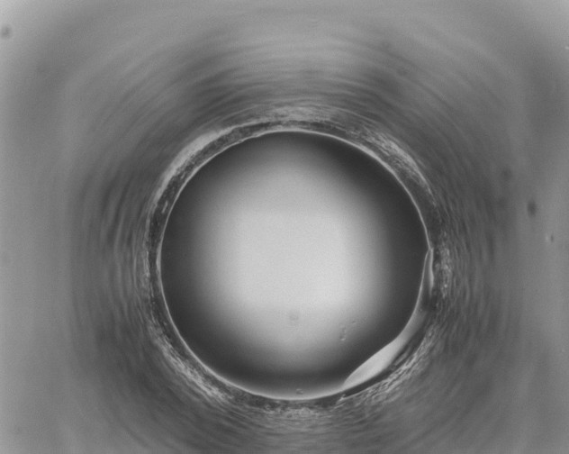 X0000060750784200511171121