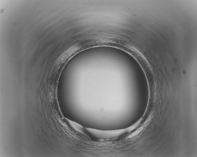 X0000060750785200511171121