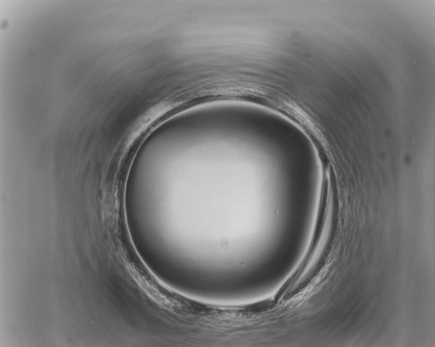 X0000060750787200511171121