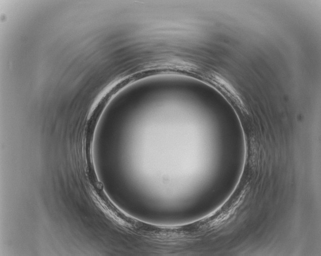 X0000060750788200511171121