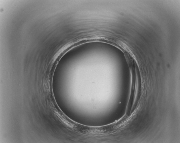 X0000060750789200511171121