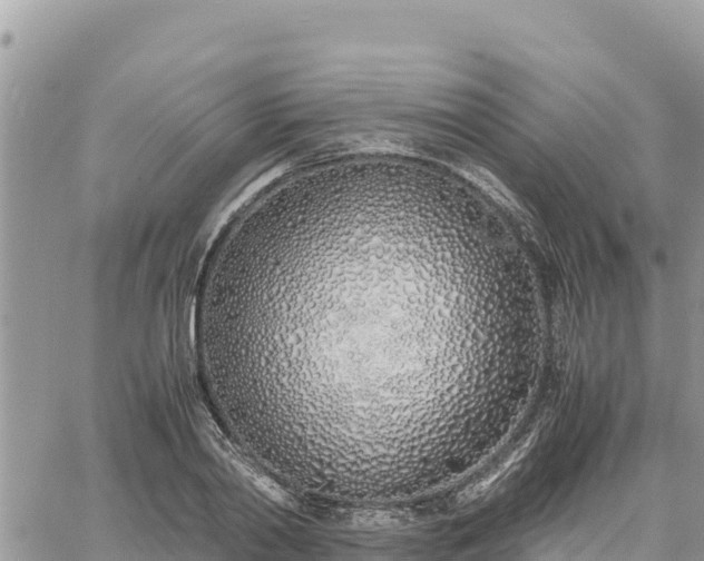 X0000060750790200511171121