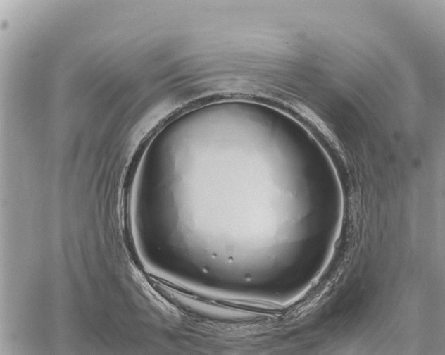 X0000060750791200511171121