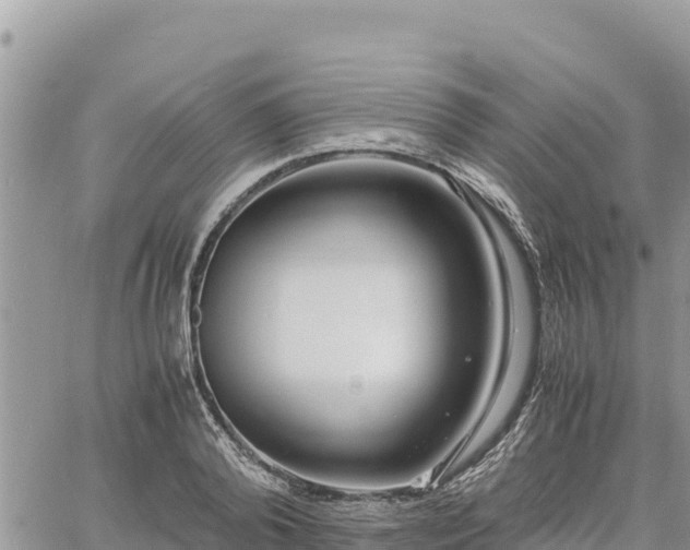 X0000060750792200511171121