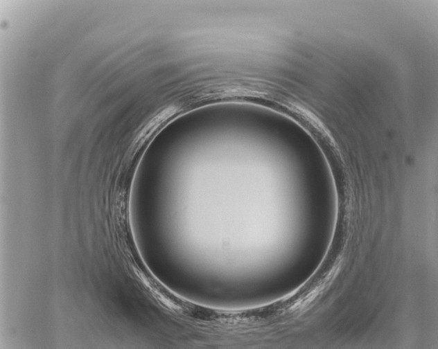 X0000060750793200511171121