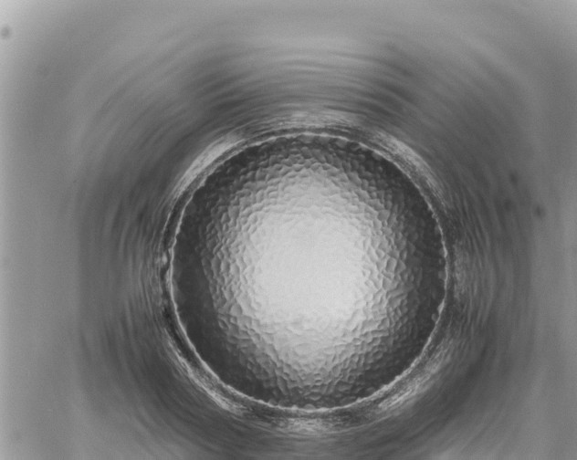 X0000060750794200511171121