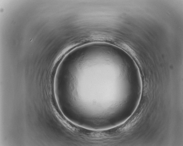 X0000060750795200511171121