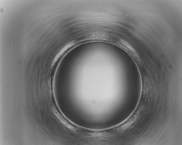 X0000060750796200511171121