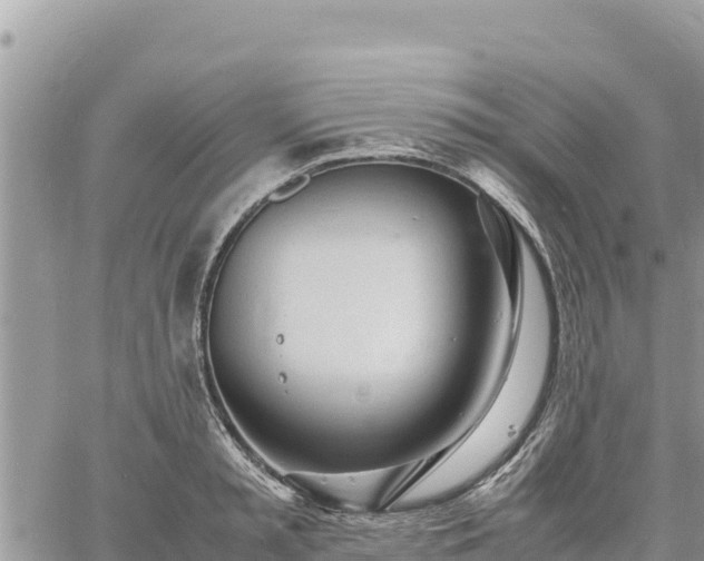 X0000060750797200511171121