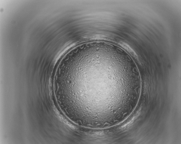 X0000060750798200511171121