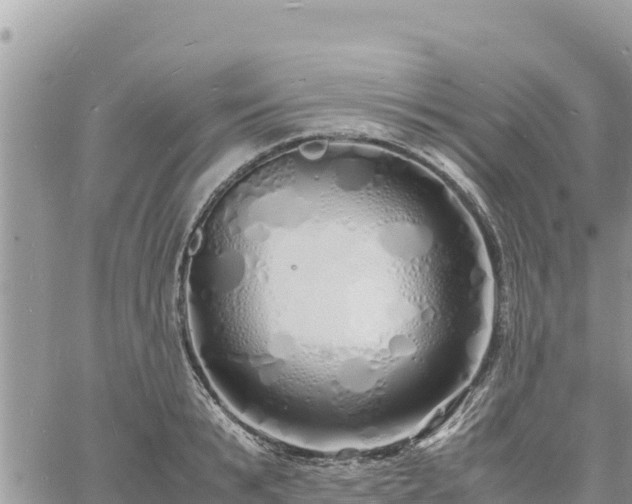 X0000060750799200511171121